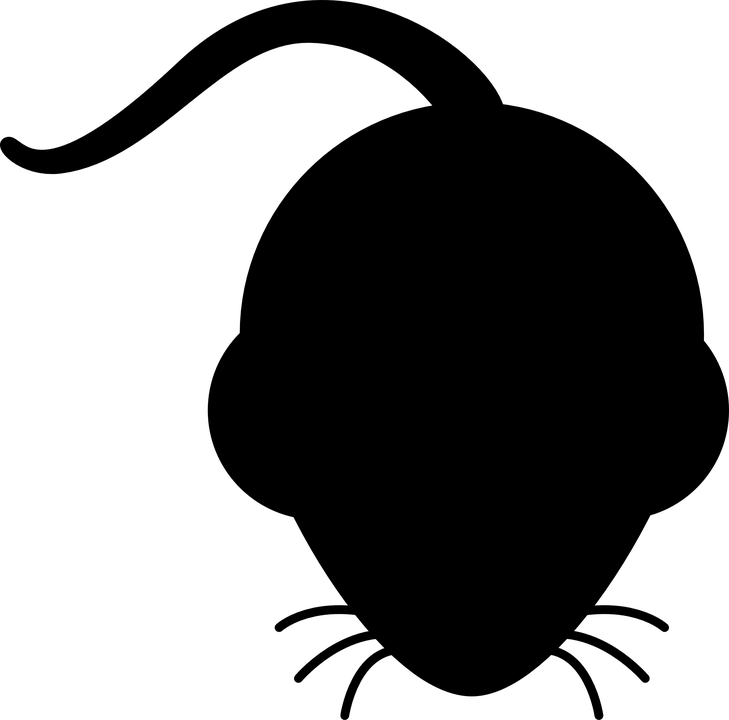 mouse-308390_960_720